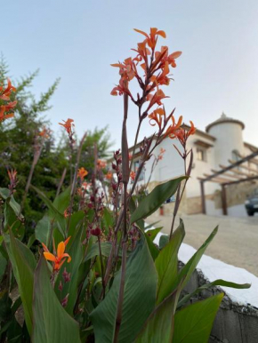 Villa Sunshine Countryside Resort, Frigiliana